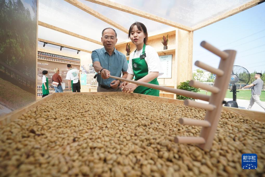 捕鱼源码分享网